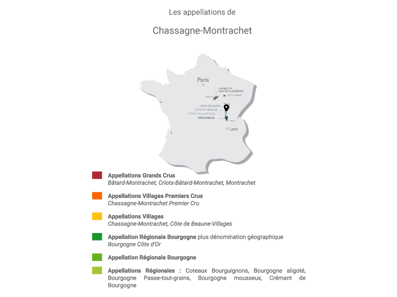 chassagne montrachet 1er cru morgeot 01