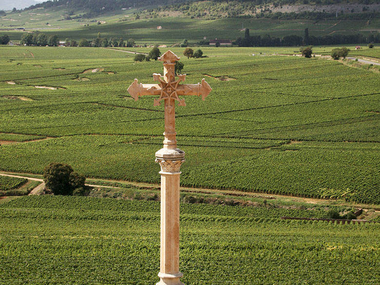 corton charlemagne grand cru