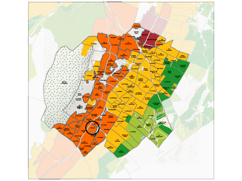 chassagne montrachet 1er cru morgeot