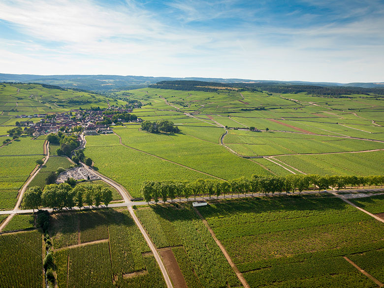 pommard 1er cru les epenots