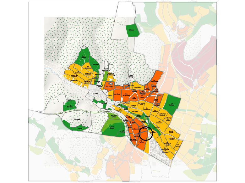 savigny les beaune 1er cru les peuillets