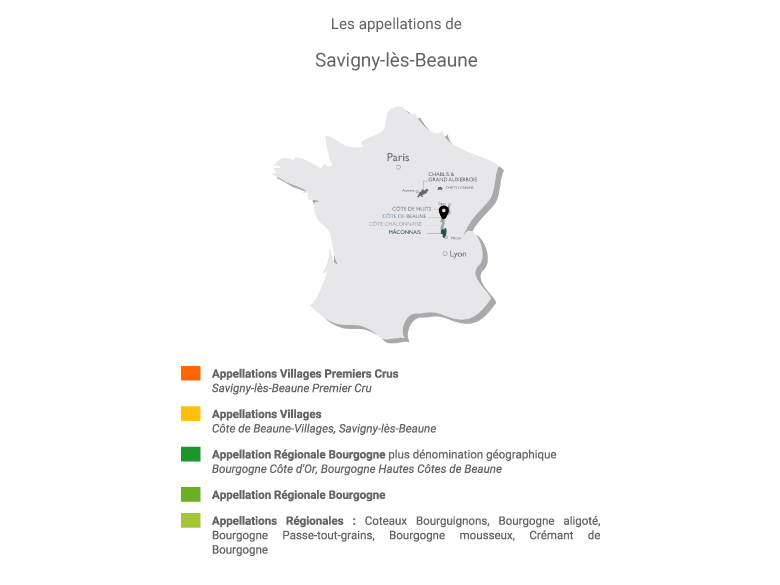 savigny les beaune 1er cru les peuillets